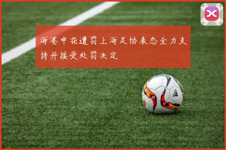 海港申花遭罚上海足协表态全力支持并接受处罚决定