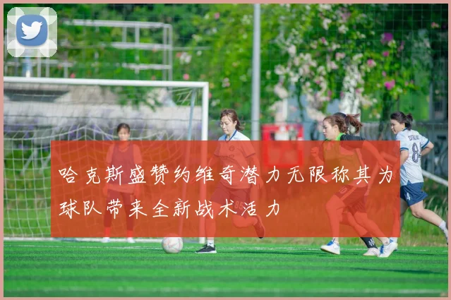 哈克斯盛赞约维奇潜力无限称其为球队带来全新战术活力