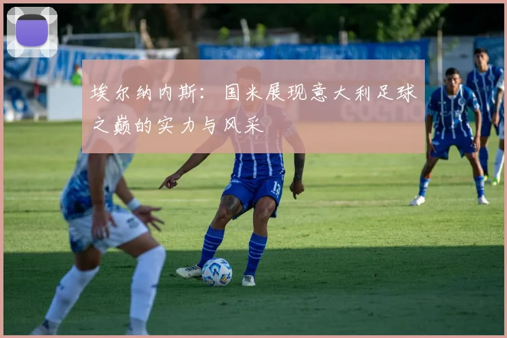 埃尔纳内斯：国米展现意大利足球之巅的实力与风采