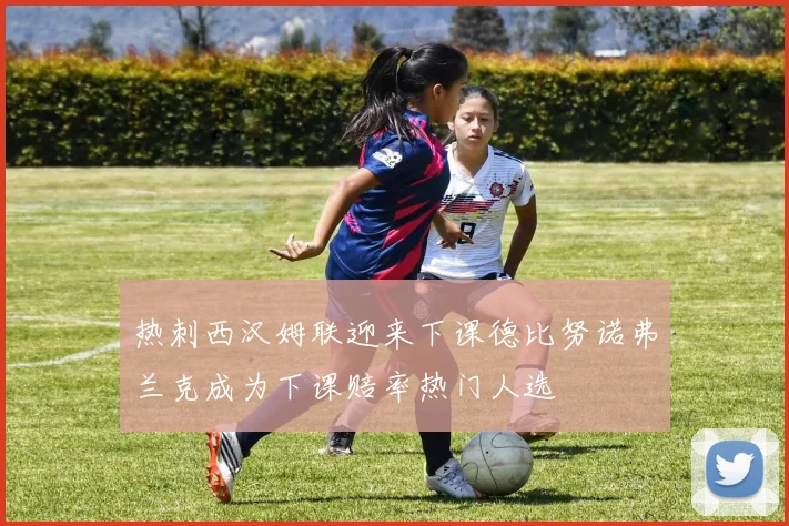 热刺西汉姆联迎来下课德比努诺弗兰克成为下课赔率热门人选