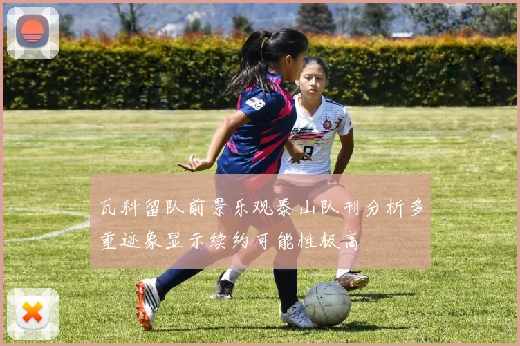 瓦科留队前景乐观泰山队刊分析多重迹象显示续约可能性极高