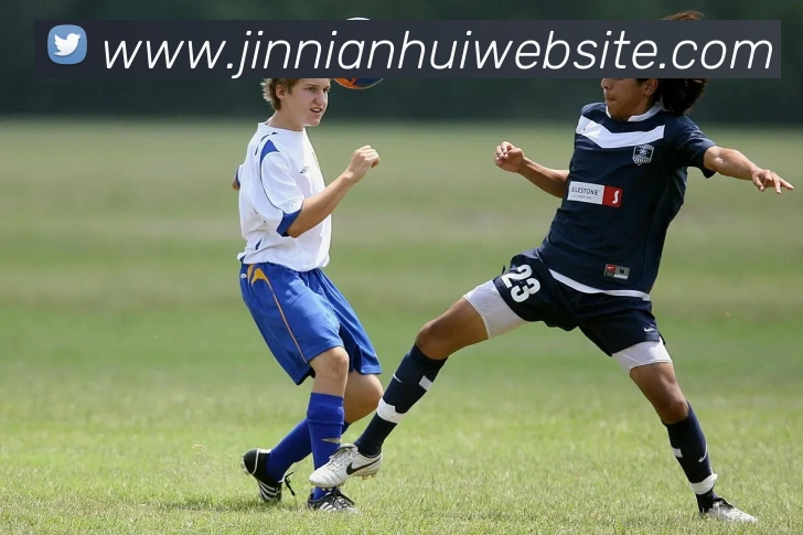 今年会官网服务体系